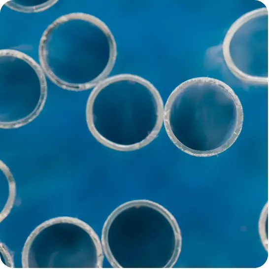 about peptides page element 3 1