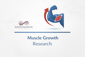 Muscle Growth Research