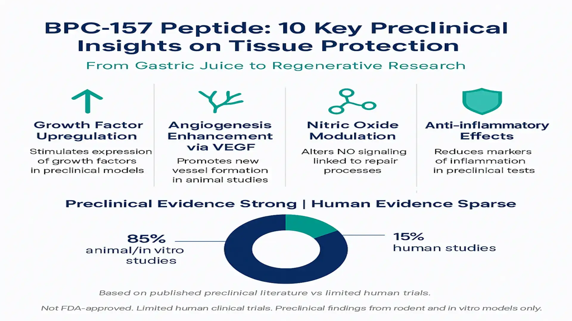 Infographic titled 'BPC-157 Peptide: 10 Key Preclinical Insights on Tissue Protection' showing benefits including growth factor upregulation, angiogenesis via VEGF, nitric oxide modulation, anti-inflammatory effects, and a donut chart indicating 85% animal/in vitro studies versus 15% human studies.