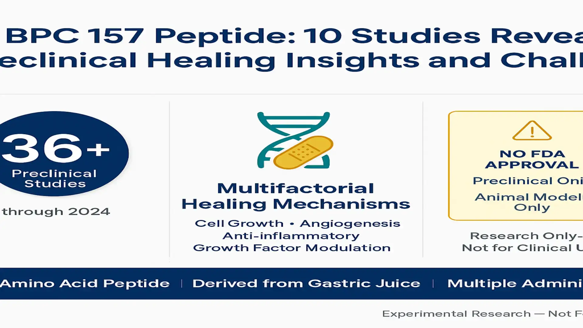 Infographic for BPC-157 peptide: '36+ Preclinical Studies through 2024', multifactorial healing mechanisms (cell growth, angiogenesis, anti-inflammatory, growth factor modulation) and 'No FDA approval - Preclinical/Animal Models Only' notice.