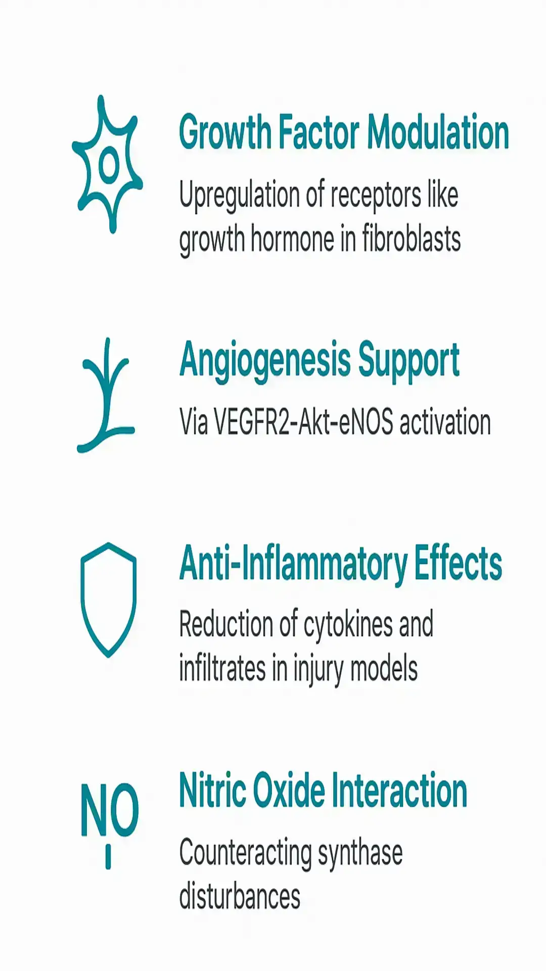 Infographic slide showing four teal icons and headings: Growth Factor Modulation, Angiogenesis Support (VEGFR2-Akt-eNOS), Anti-Inflammatory Effects, and Nitric Oxide Interaction on a white background.