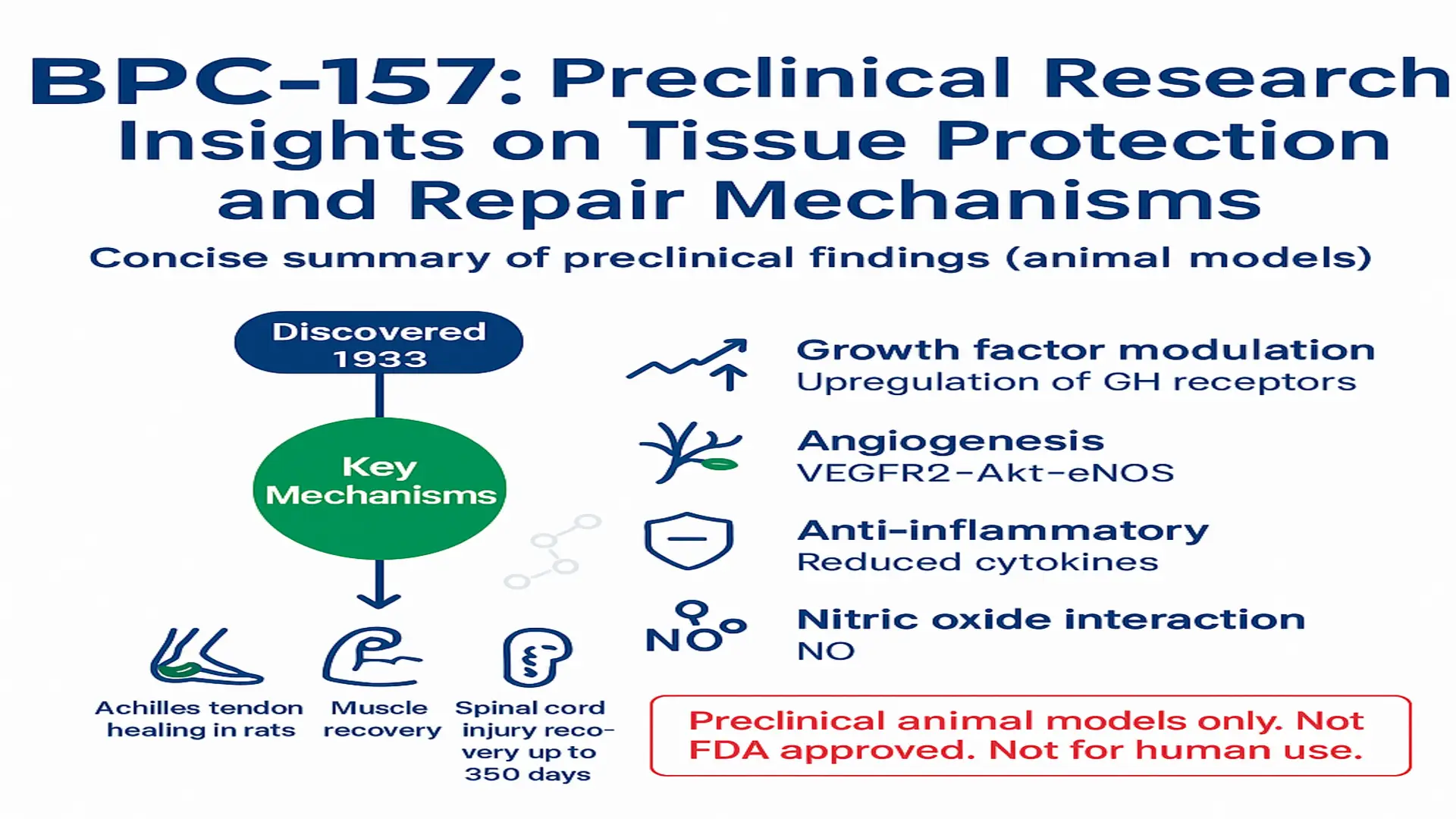 Infographic: BPC-157 preclinical research on tissue protection and repair mechanisms in animal models, listing growth factor modulation, angiogenesis, anti-inflammatory effects, nitric oxide interaction, and outcomes like tendon, muscle and spinal cord recovery.