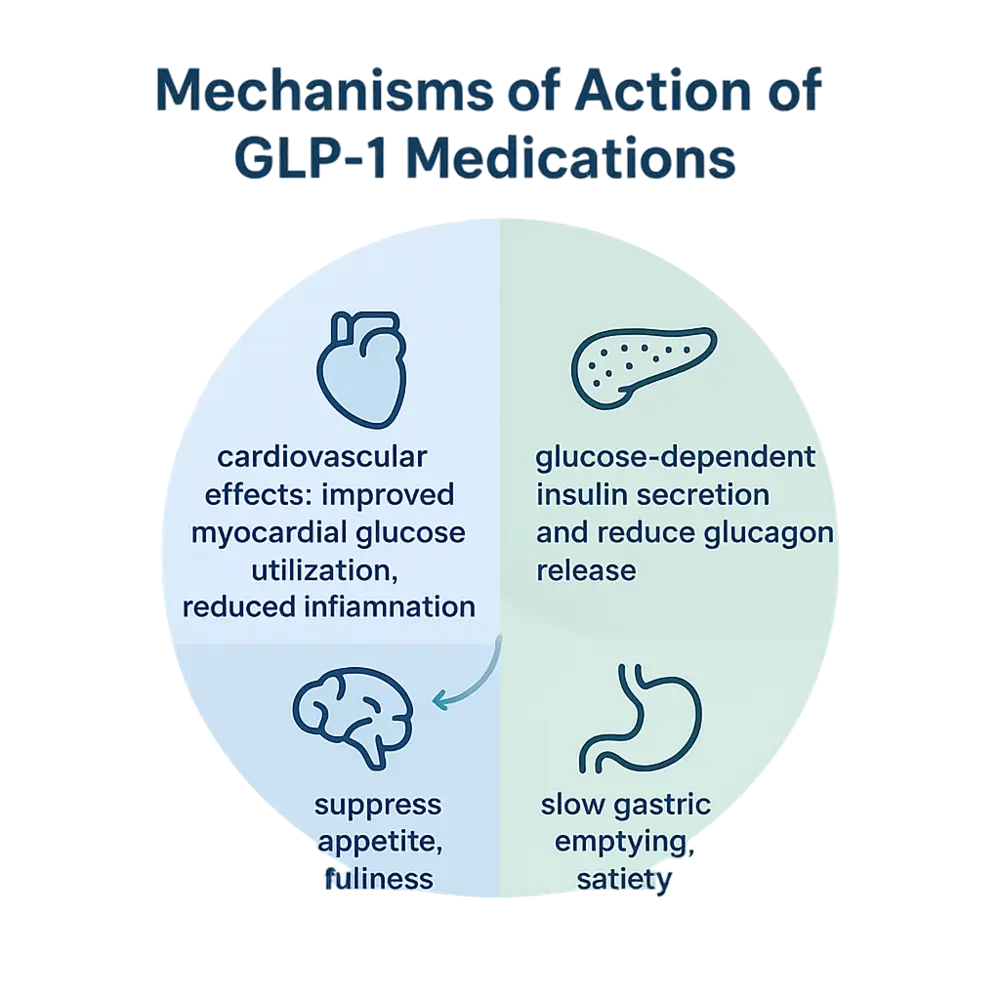 Infographic titled 'Mechanisms of Action of GLP-1 Medications' — circular diagram with four quadrants showing (1) pancreas icon: glucose-dependent insulin secretion and reduced glucagon release, (2) stomach icon: slow gastric emptying and increased satiety, (3) brain icon: suppressed appetite and greater fullness, and (4) heart icon: cardiovascular effects including improved myocardial glucose utilization and reduced inflammation.