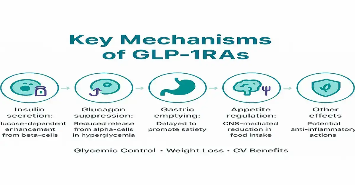 Infographic titled 'Key Mechanisms of GLP-1RAs' with five teal icons and labels: Insulin secretion, Glucagon suppression, Gastric emptying, Appetite regulation, and Other effects; footer reads 'Glycemic Control • Weight Loss • CV Benefits'.