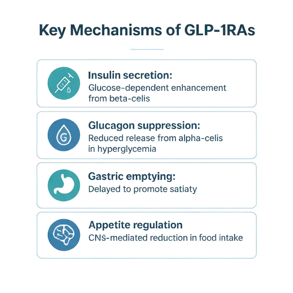 Infographic titled 'Key Mechanisms of GLP-1RAs' showing four boxed rows with icons: insulin secretion (glucose-dependent beta-cell enhancement), glucagon suppression (reduced alpha-cell release in hyperglycemia), delayed gastric emptying to promote satiety, and CNS-mediated appetite regulation.