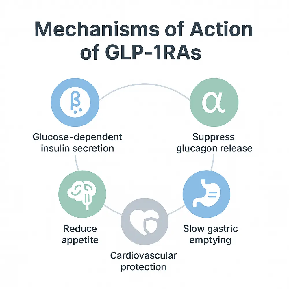 Diagram showing mechanisms of action of GLP-1 receptor agonists (GLP-1RAs) including glucose-dependent insulin secretion, suppression of glucagon release, appetite reduction, cardiovascular protection, and slow gastric emptying.