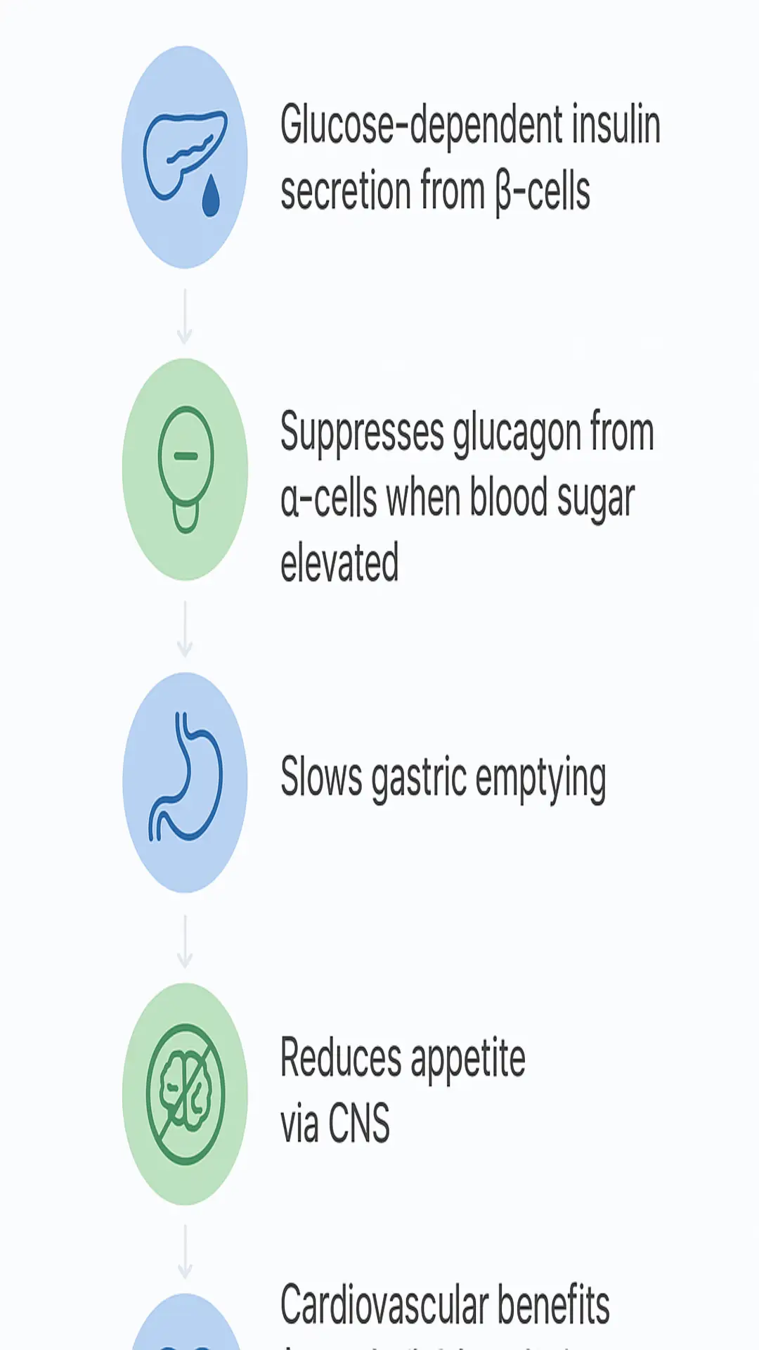 Vertical infographic showing GLP‑1 effects: glucose‑dependent insulin secretion from β‑cells, suppressed glucagon from α‑cells, slowed gastric emptying, reduced appetite via CNS, and cardiovascular benefits.