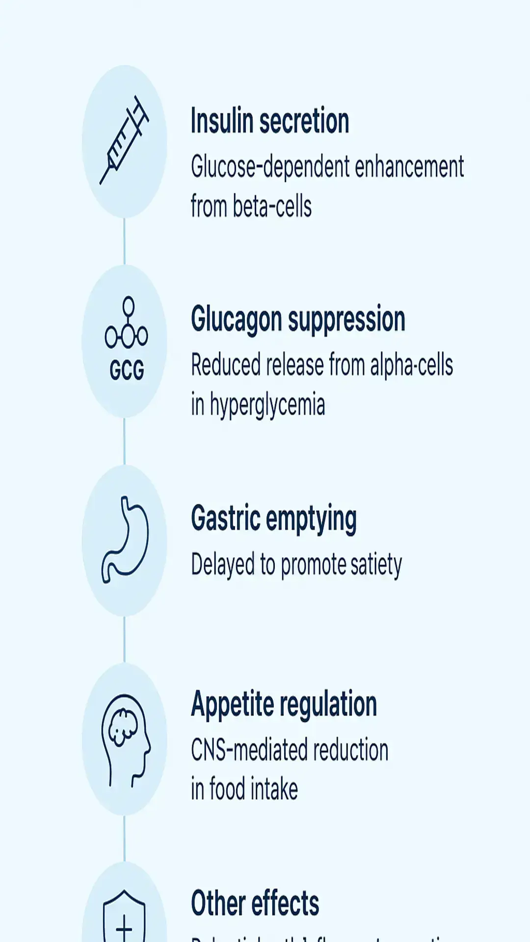 Vertical infographic showing mechanisms: insulin secretion, glucagon suppression, delayed gastric emptying, and appetite regulation with blue icons.