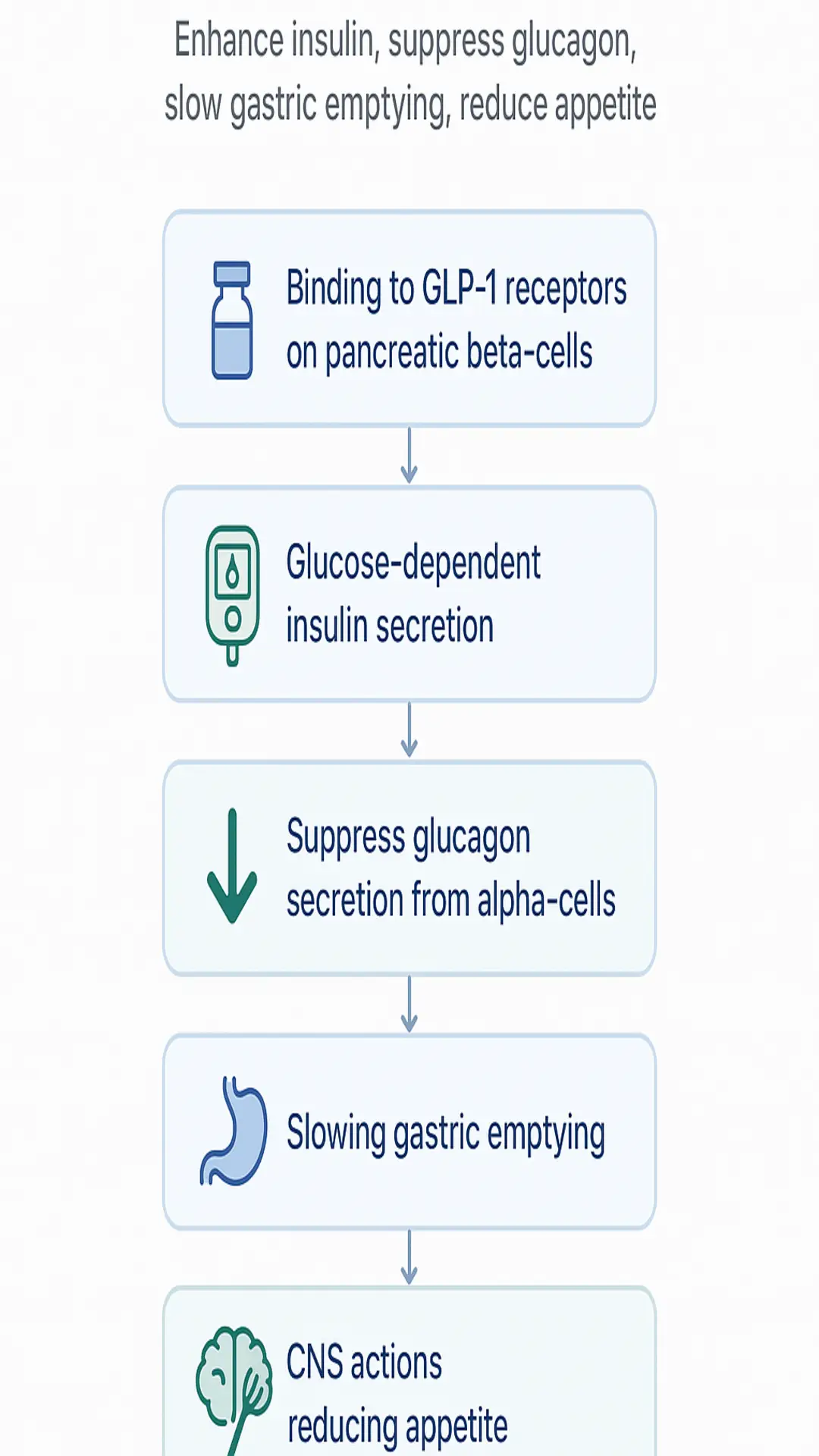 Flowchart illustrating the effects of GLP-1 receptor binding on insulin secretion, glucagon suppression, gastric emptying, and appetite reduction.