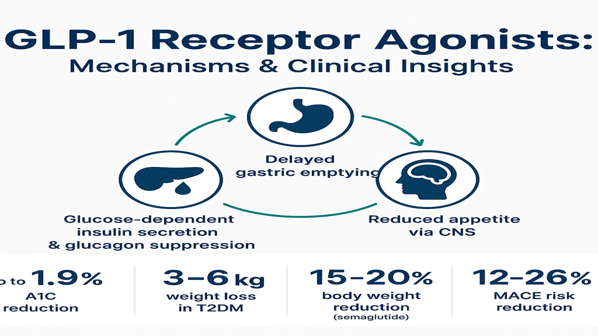 Infographic titled 'GLP-1 Receptor Agonists: Mechanisms & Clinical Insights' showing three mechanism icons (stomach: delayed gastric emptying; brain: reduced appetite via CNS; pancreas: glucose‑dependent insulin secretion and glucagon suppression) with clinical outcome callouts (A1C reduction up to 1.9%, 3–6 kg weight loss in T2DM, 15–20% body weight reduction with semaglutide, 12–26% MACE risk reduction).