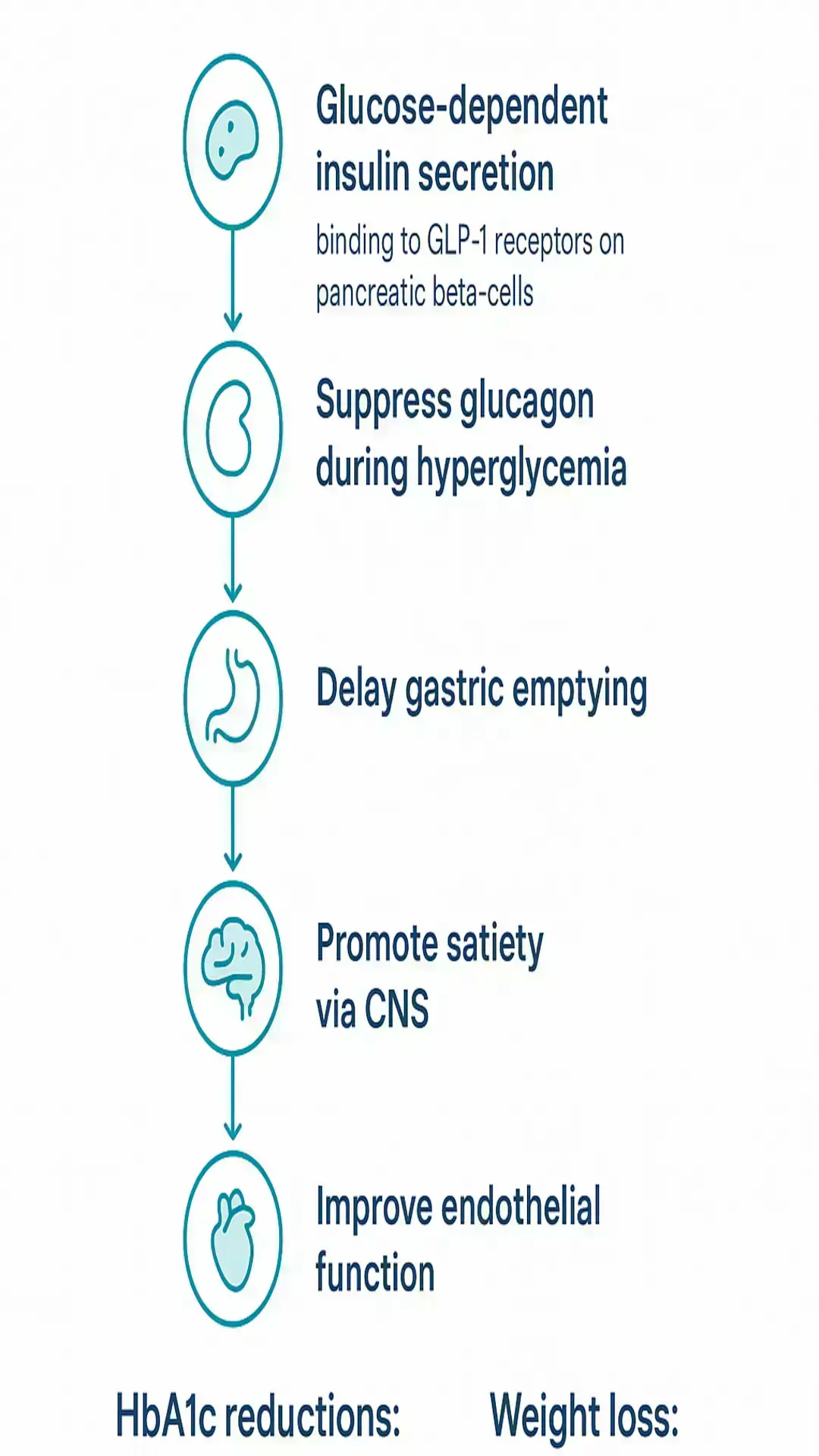 Infographic of GLP-1 receptor agonist mechanisms: glucose-dependent insulin secretion from pancreatic beta-cells, suppression of glucagon during hyperglycemia, delayed gastric emptying, increased satiety via the CNS, and improved endothelial function; notes HbA1c reduction and weight loss benefits.
