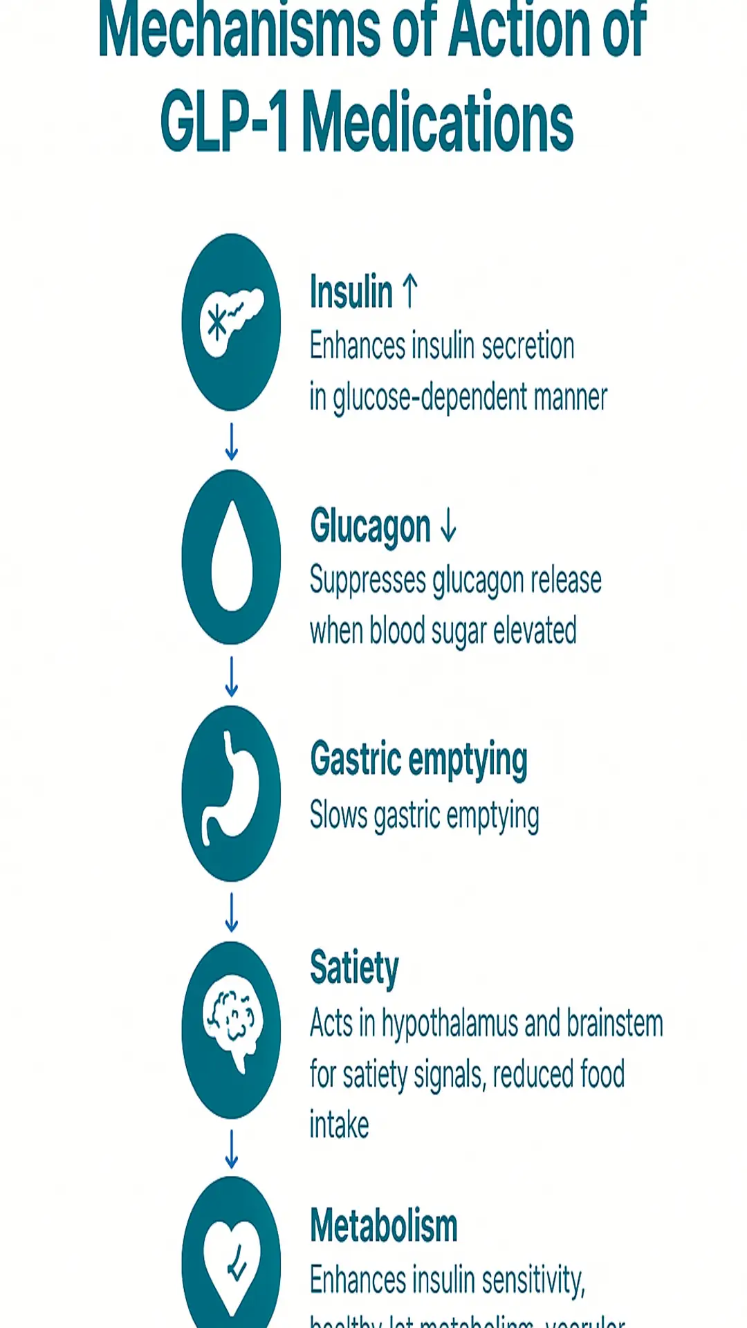 Vertical infographic titled 'Mechanisms of Action of GLP-1 Medications' showing icons and text: increases insulin secretion, decreases glucagon, slows gastric emptying, increases satiety, and improves metabolism.