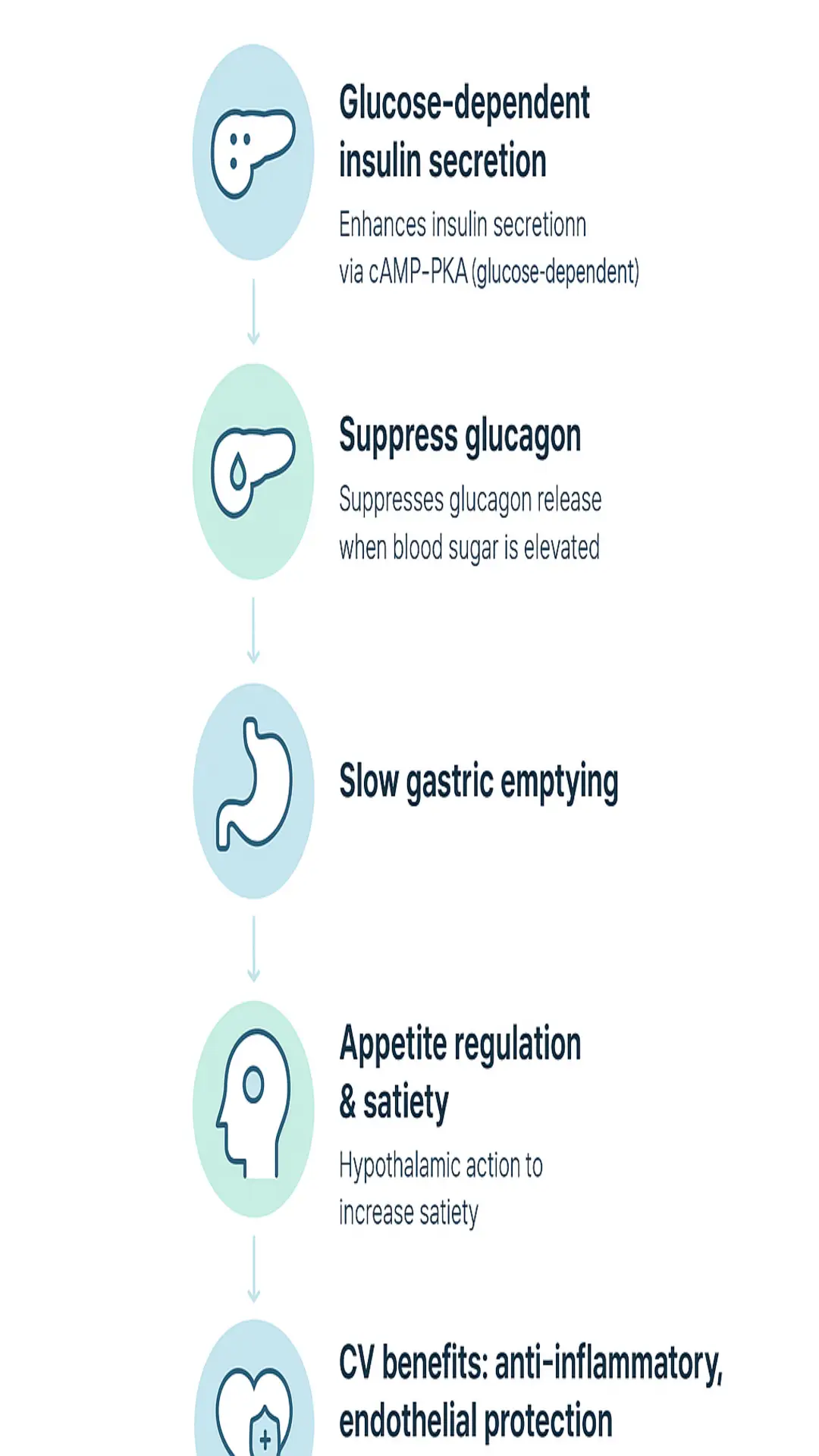 Infographic illustrating the effects of glucose-dependent insulin secretion and its benefits on appetite regulation and cardiovascular health.