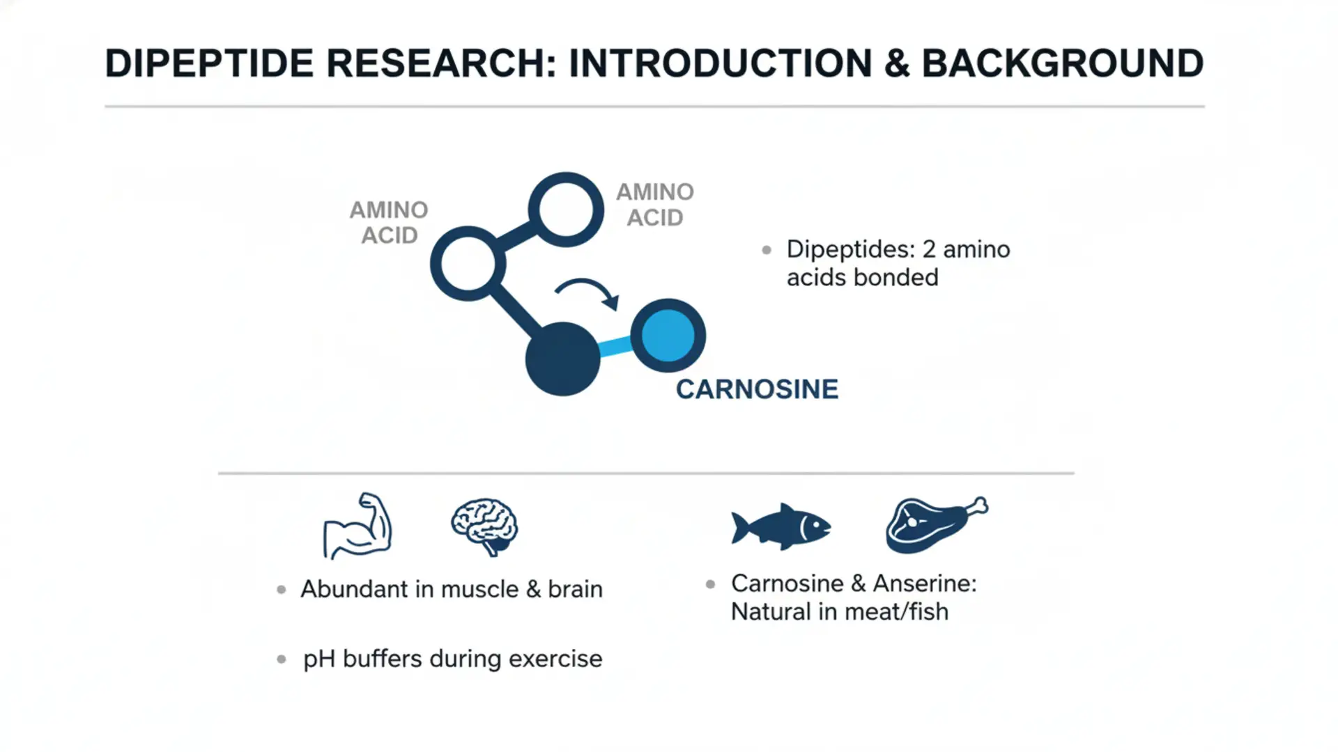 Presentation slide titled 'Dipeptide Research: Introduction & Background' showing a carnosine dipeptide diagram and notes: dipeptides = two amino acids bonded; abundant in muscle and brain; pH buffers during exercise; carnosine and anserine natural in meat and fish.
