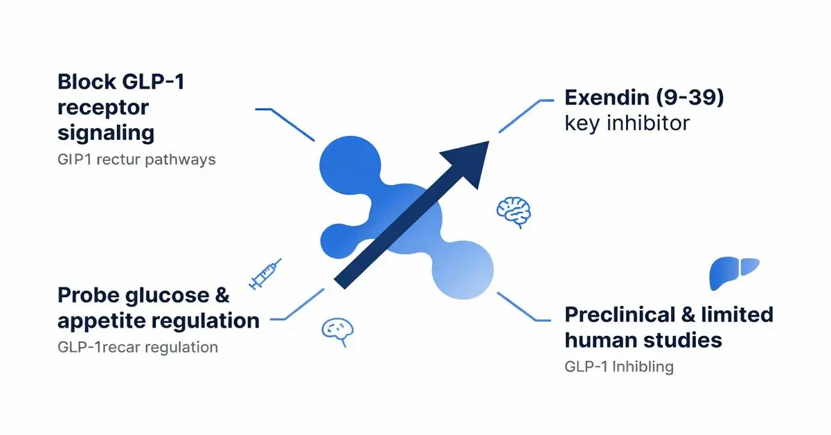Diagram illustrating the mechanism of action of GLP-1 receptor blockers, GIP receptor pathways, glucose appetite regulation, and GLP-1 inhibitors in medical research