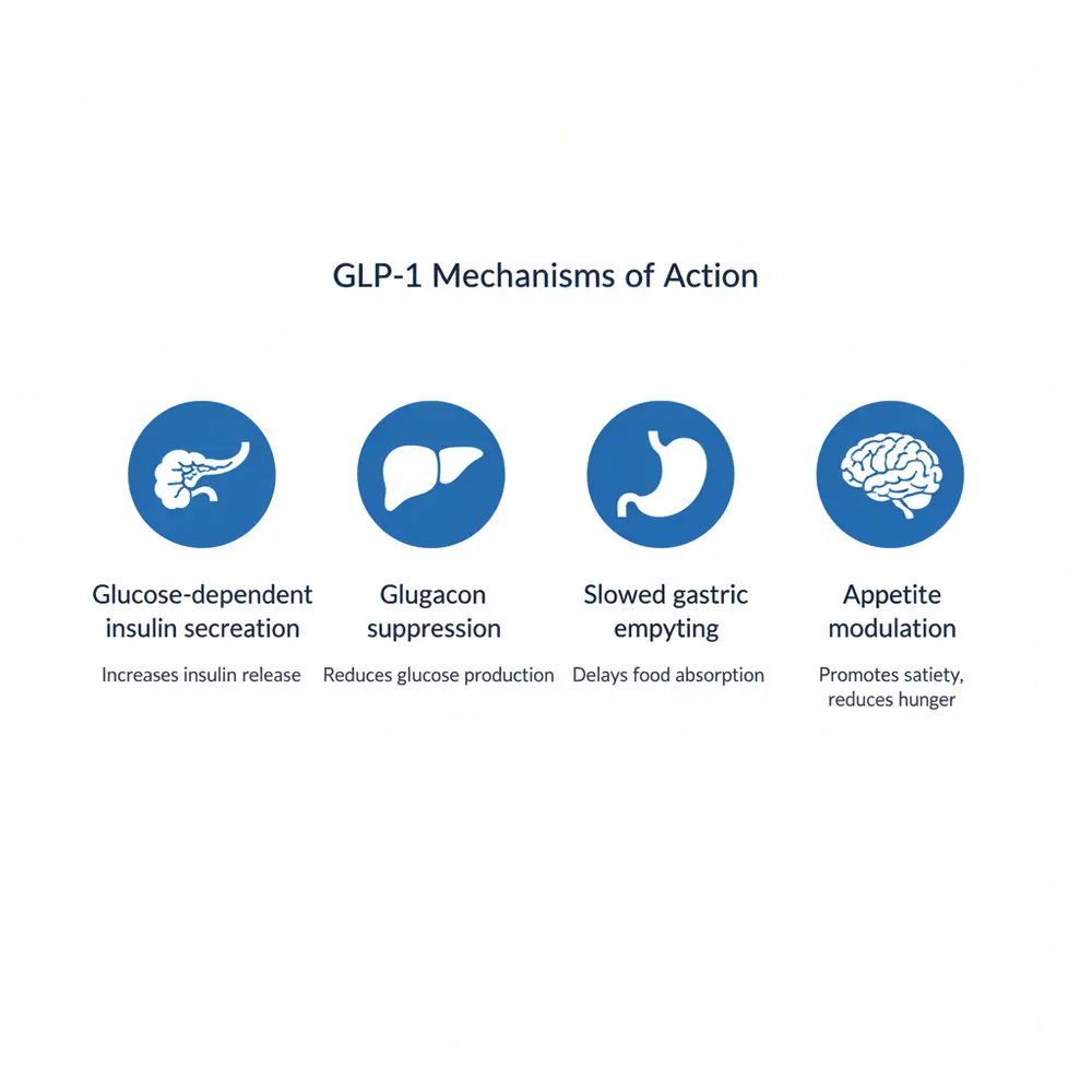 GLP-1 Mechanisms of Action Diagram showing Glucose-dependent insulin secretion, Glucagon suppression, Slowed gastric emptying, and Appetite modulation