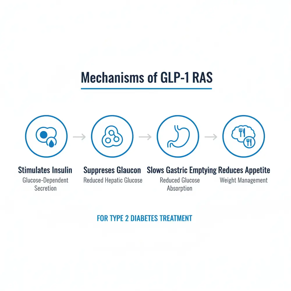 Infographic: Mechanisms of GLP-1 RAS for type 2 diabetes showing stimulates insulin, suppresses glucagon, slows gastric emptying, and reduces appetite for weight management.