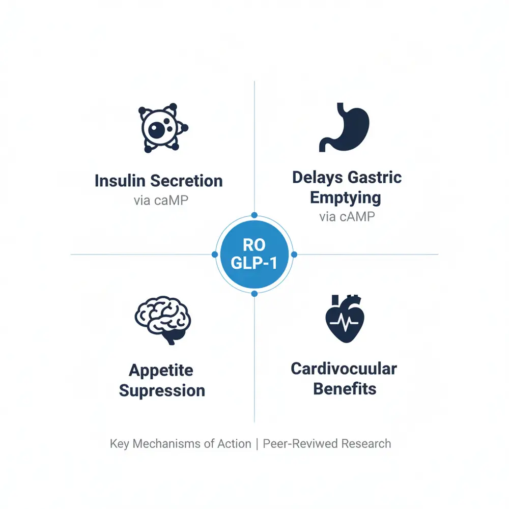 Diagram illustrating the key mechanisms of action of RO GLP-1, including insulin secretion, delaying gastric emptying, appetite suppression, and cardiovascular benefits.