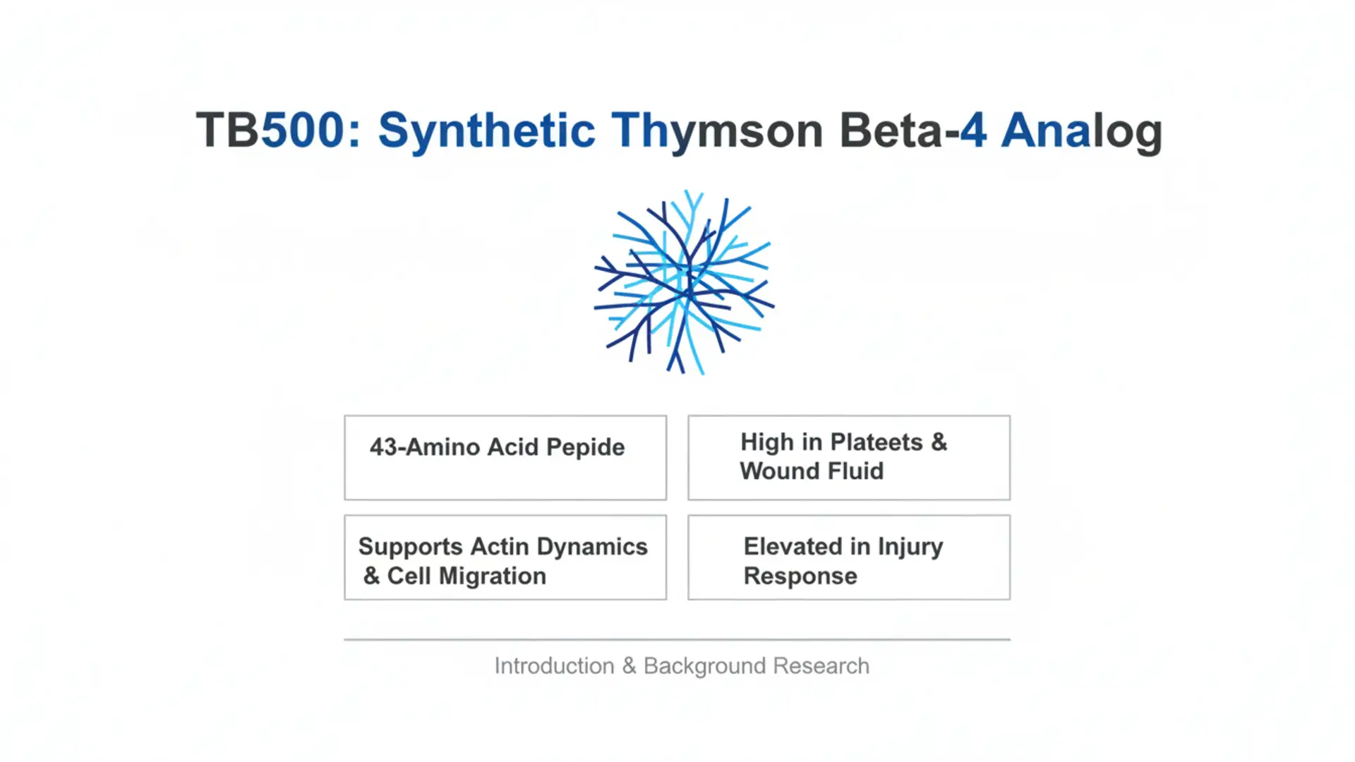 Presentation slide reading 'TB500: Synthetic Thymson Beta-4 Analog' with a blue abstract graphic and four labeled boxes: '43-Amino Acid Peptide', 'High in Platelets & Wound Fluid', 'Supports Actin Dynamics & Cell Migration', and 'Elevated in Injury Response'.